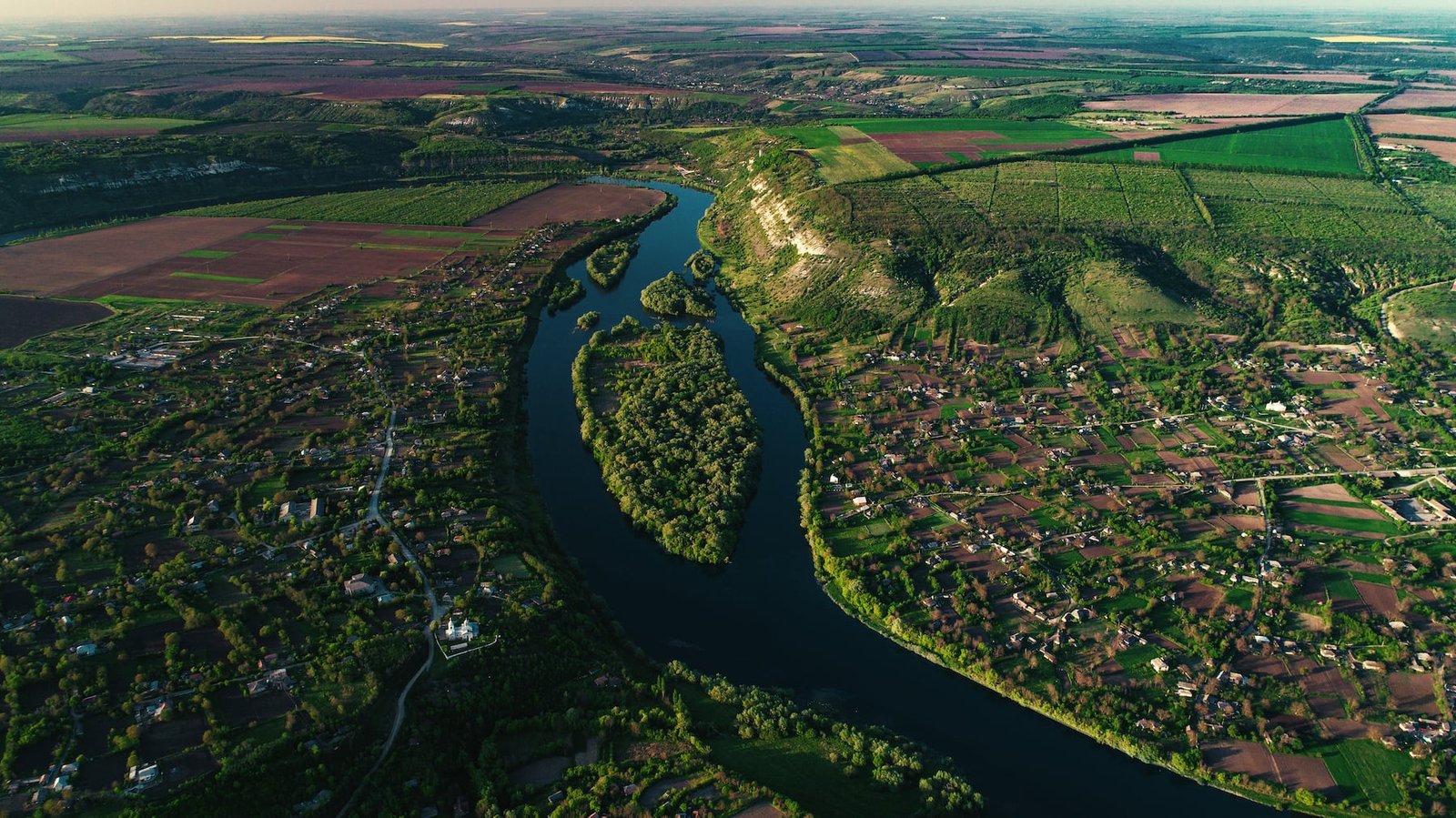 Naslavcea